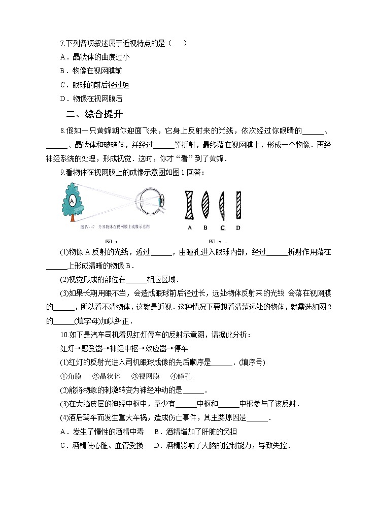 第3章第1节眼与视觉 第二课时（课件+教案+练习+视频）02