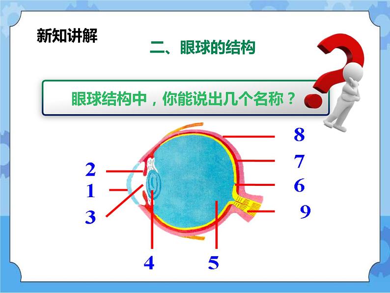 第3章第1课 眼与视觉第一课时（课件+教案+练习+视频）07