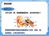 第3章第2节耳与听觉（课件+教案+练习+视频）