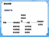 第3章第3节皮肤感觉（课件+教案+练习）