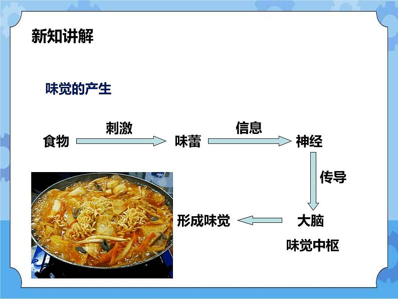 第3章第4节 味觉和嗅觉 （课件+教案+练习）07