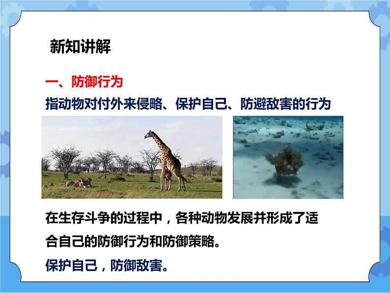 第7章第1节动物的行为 第2课时 （课件+教案+练习+视频）04