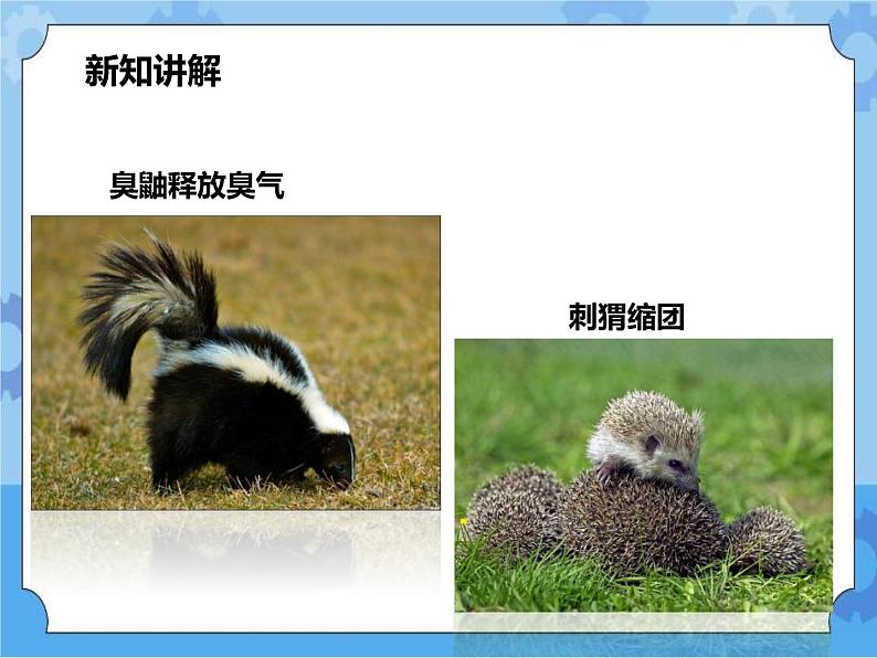 第7章第1节动物的行为 第2课时 （课件+教案+练习+视频）08