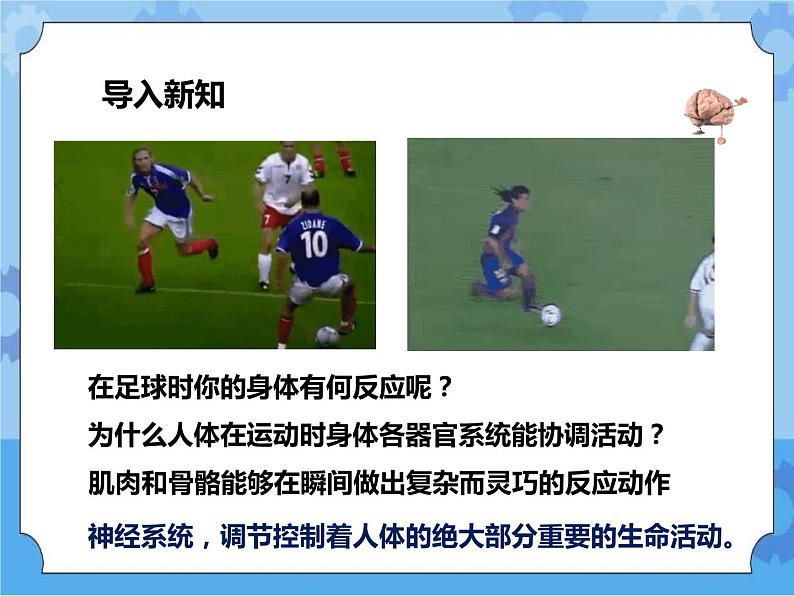 第7章第2节人体生命活动的神经调节 第1课时（课件+教案+练习+视频）02