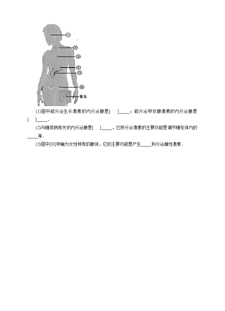 第7章第3节人体生命活动的激素调节（课件+教案+练习+视频）02