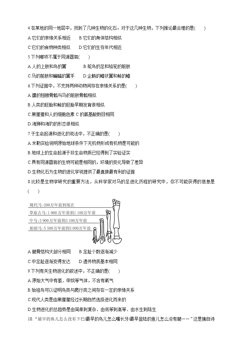 2.3.1生物进化（课件+教案+导学案）03