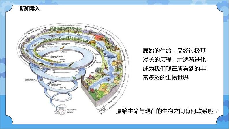 2.3.1生物进化（课件+教案+导学案）02