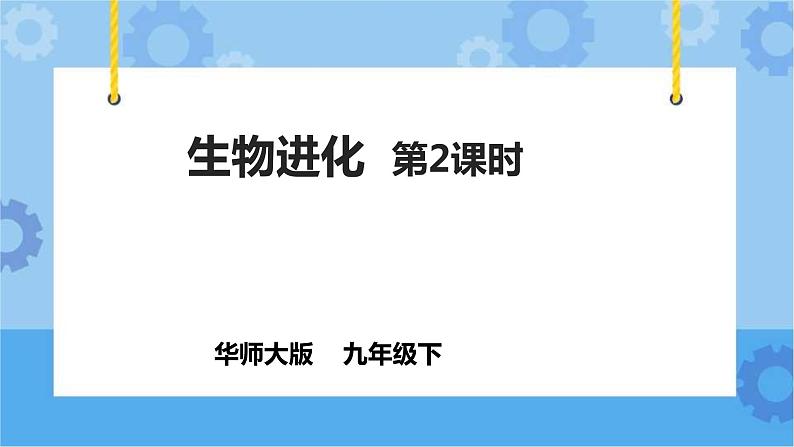 2.3.2生物进化（课件+教案+导学案）01