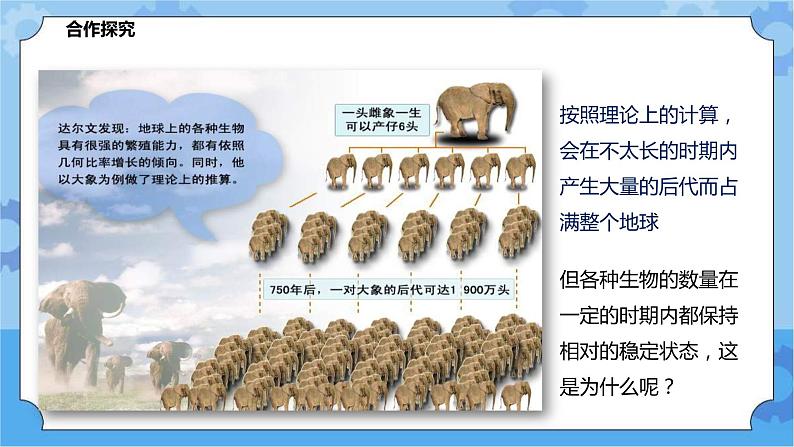 2.3.2生物进化（课件+教案+导学案）06