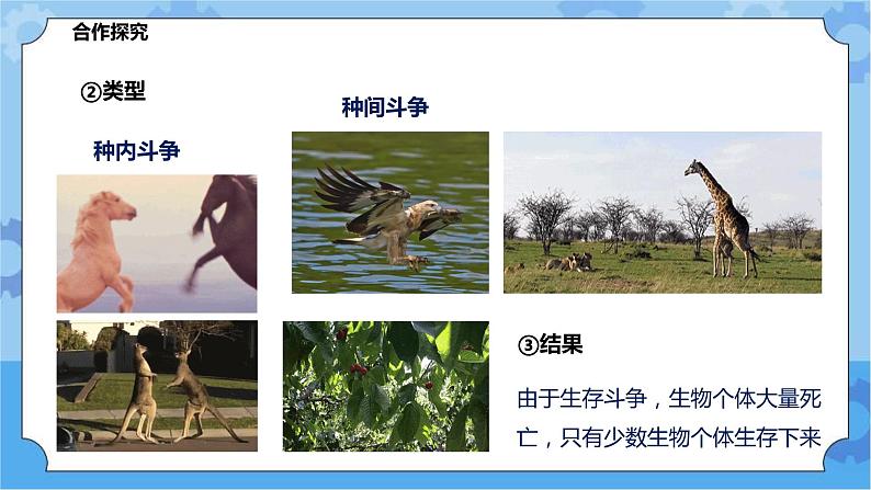 2.3.2生物进化（课件+教案+导学案）08