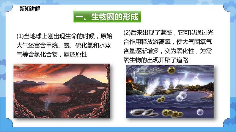 2.4生态平衡（课件+教案+导学案）03