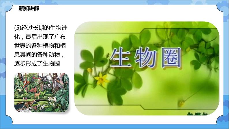 2.4生态平衡（课件+教案+导学案）05