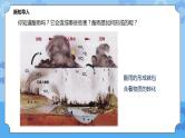 3.1.2物质的转化（课件+教案+导学案）