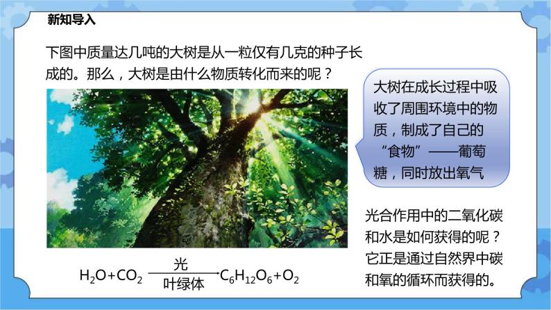 3.2自然界中的碳循环和氧循环（课件+教案+导学案）03