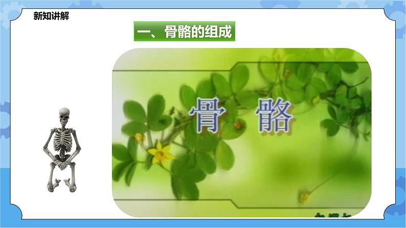 4.2.1运动与健康（课件+教案+导学案）05