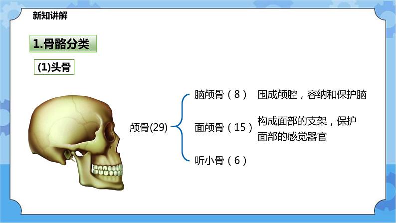 4.2.1运动与健康（课件+教案+导学案）07