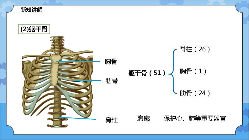 4.2.1运动与健康（课件+教案+导学案）08