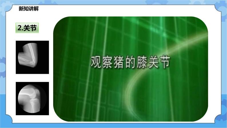 4.2.2运动与健康（课件+教案+导学案）04