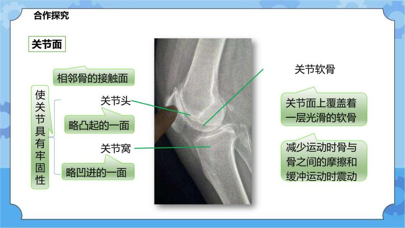 4.2.2运动与健康（课件+教案+导学案）06