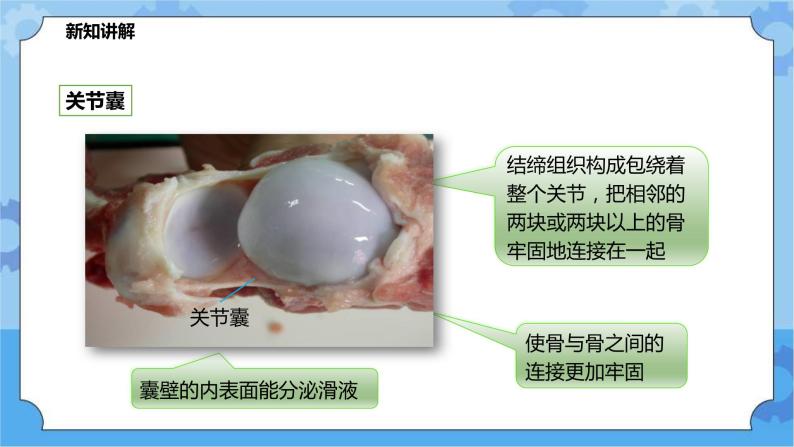 4.2.2运动与健康（课件+教案+导学案）07