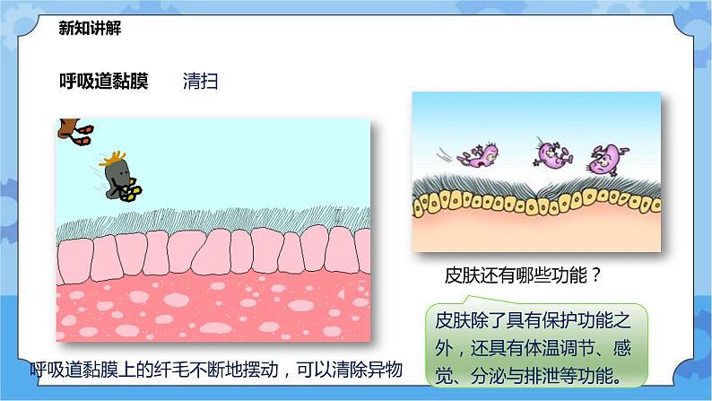 4.3.1免疫与健（课件+教案+导学案）07