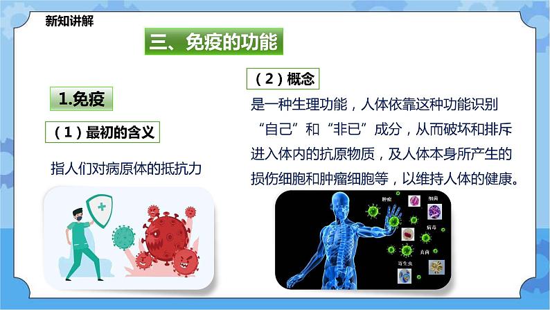 4.3.2免疫与健康（课件+教案+导学案）03