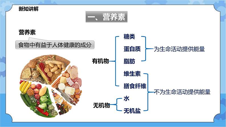 4.4营养与健康（课件+教案+导学案）04