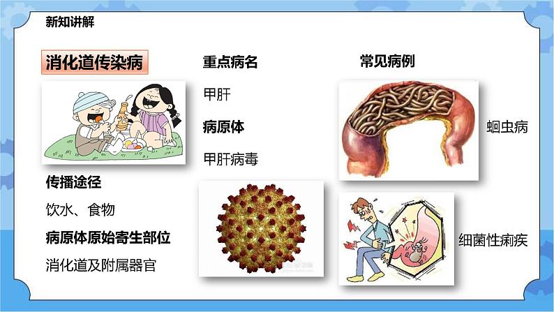 4.6.2环境与健康（课件+教案+导学案）04