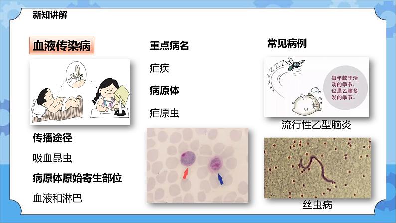 4.6.2环境与健康（课件+教案+导学案）05