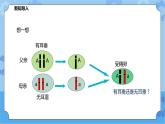 5.1.2《生物的遗传》（课件+教案+导学案）