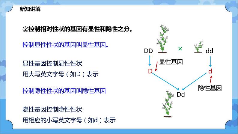 5.1.2《生物的遗传》（课件+教案+导学案）05