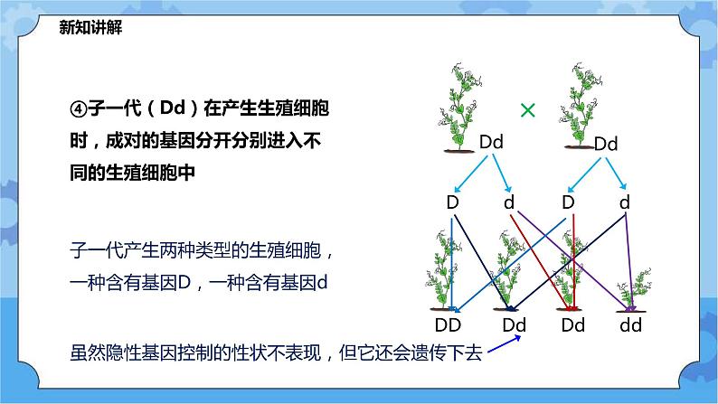 5.1.2《生物的遗传》（课件+教案+导学案）07