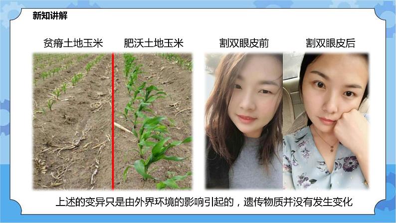 5.2.1生物的变异（课件+教案+导学案）07