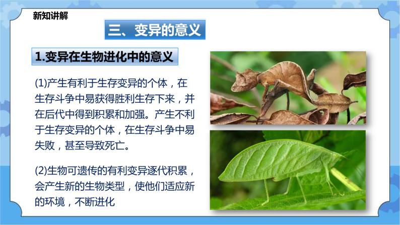 5.2.2生物的变异（课件+教案+导学案）03