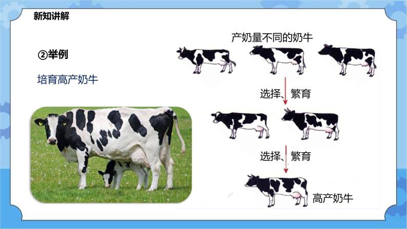 5.2.2生物的变异（课件+教案+导学案）06