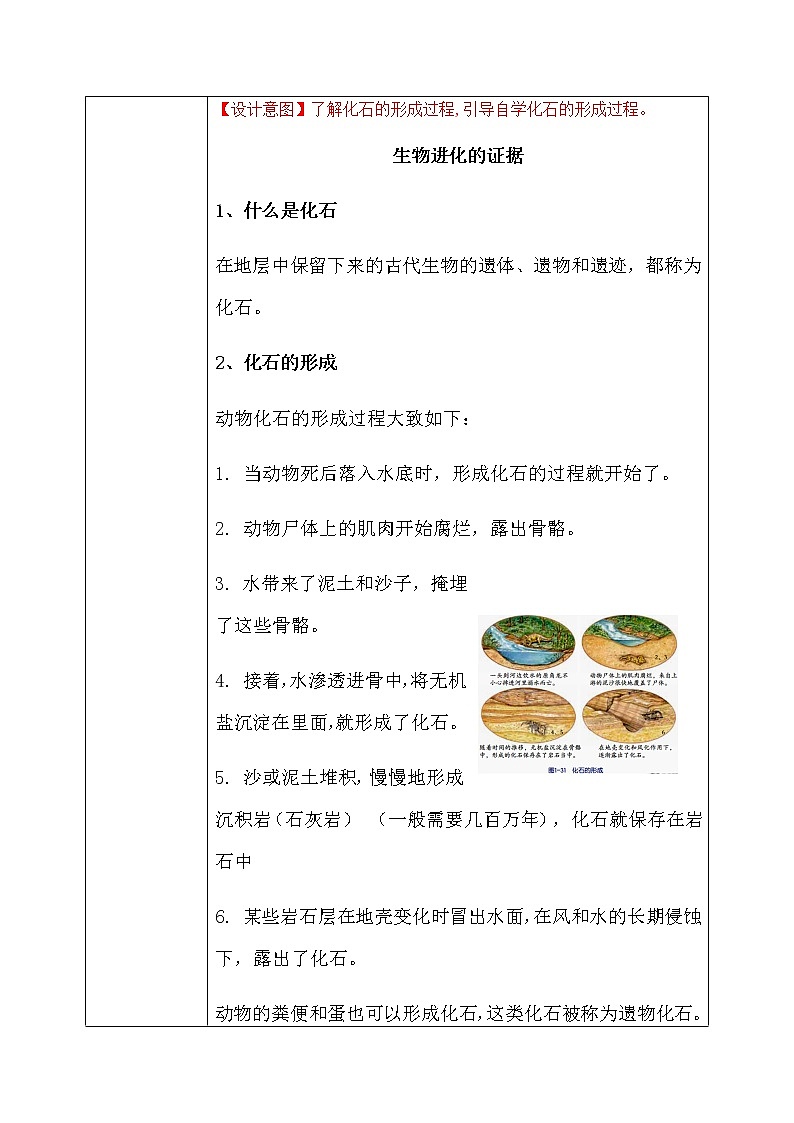 《1.4 生物的进化（第1课时）》课件+教案+练习03