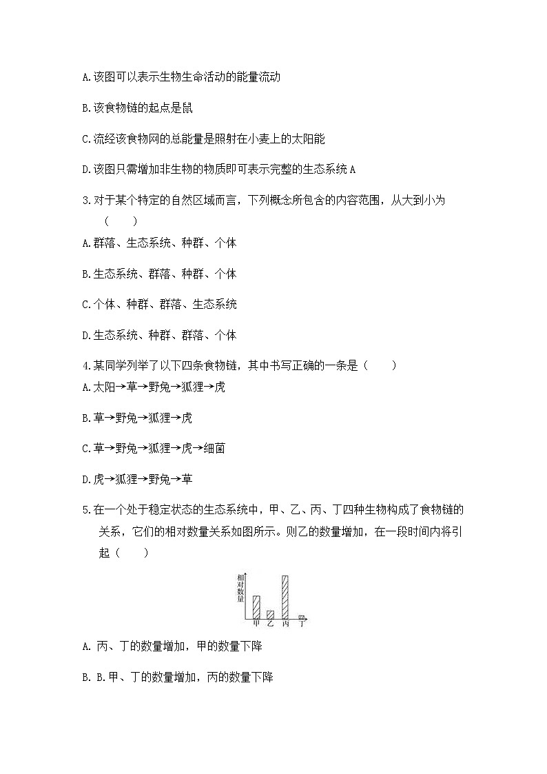 《2.4 生态系统的结构和功能 （第2课时）》课件+教案+练习02