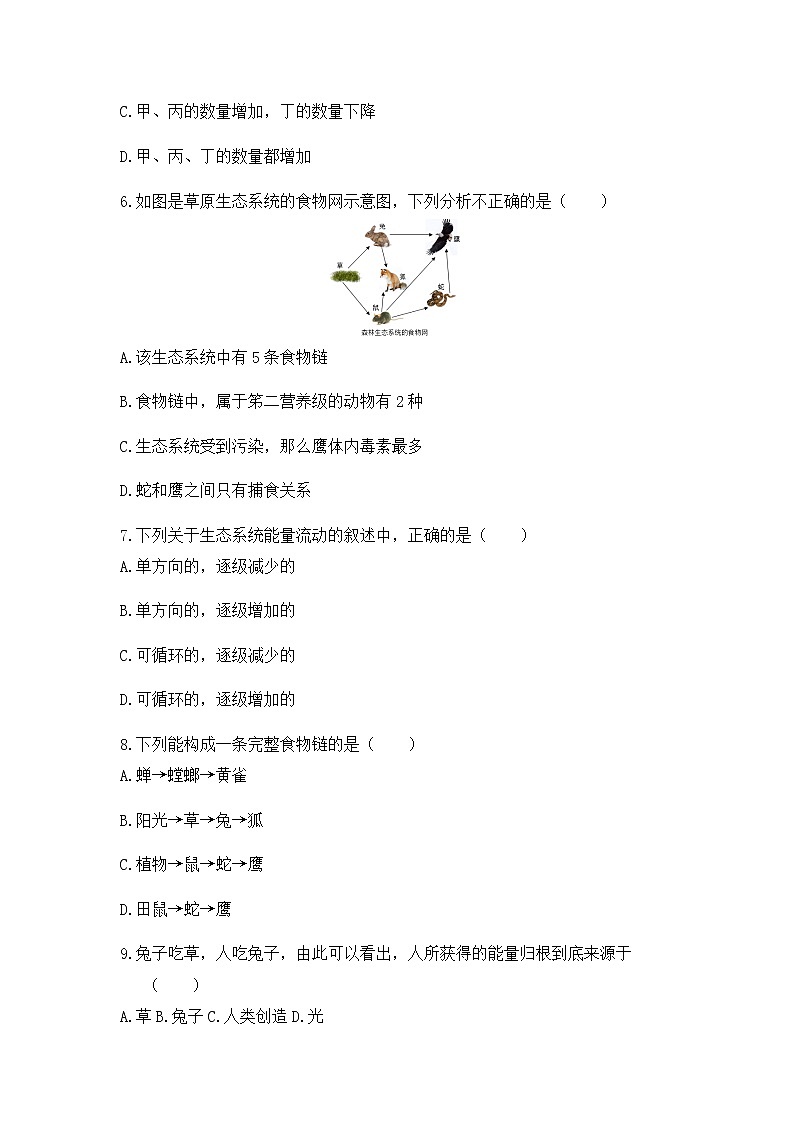 《2.4 生态系统的结构和功能 （第2课时）》课件+教案+练习03