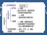 《2.4 生态系统的结构和功能 （第2课时）》课件+教案+练习