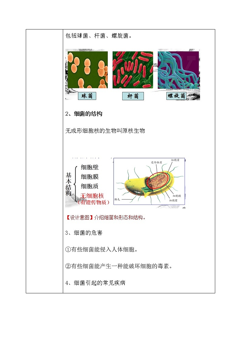 《3.2 来自微生物的威胁（第1课时） 》课件+教案+练习03