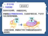 《3.4 非传染性疾病》课件+教案+练习