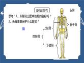 《3.5 人的运动系统和保健（第1课时）》课件+教案+练习