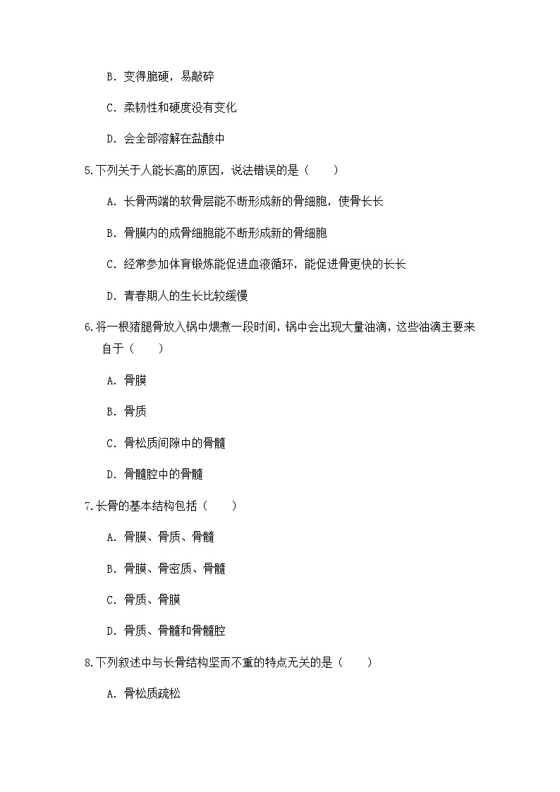 《3.5 人的运动系统和保健（第1课时）》课件+教案+练习02