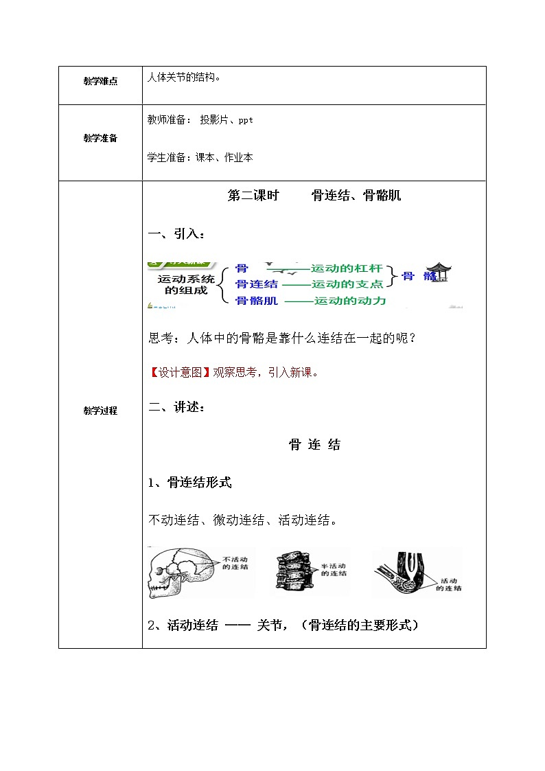 《3.5 人的运动系统和保健（第2课时）》课件+教案+练习02