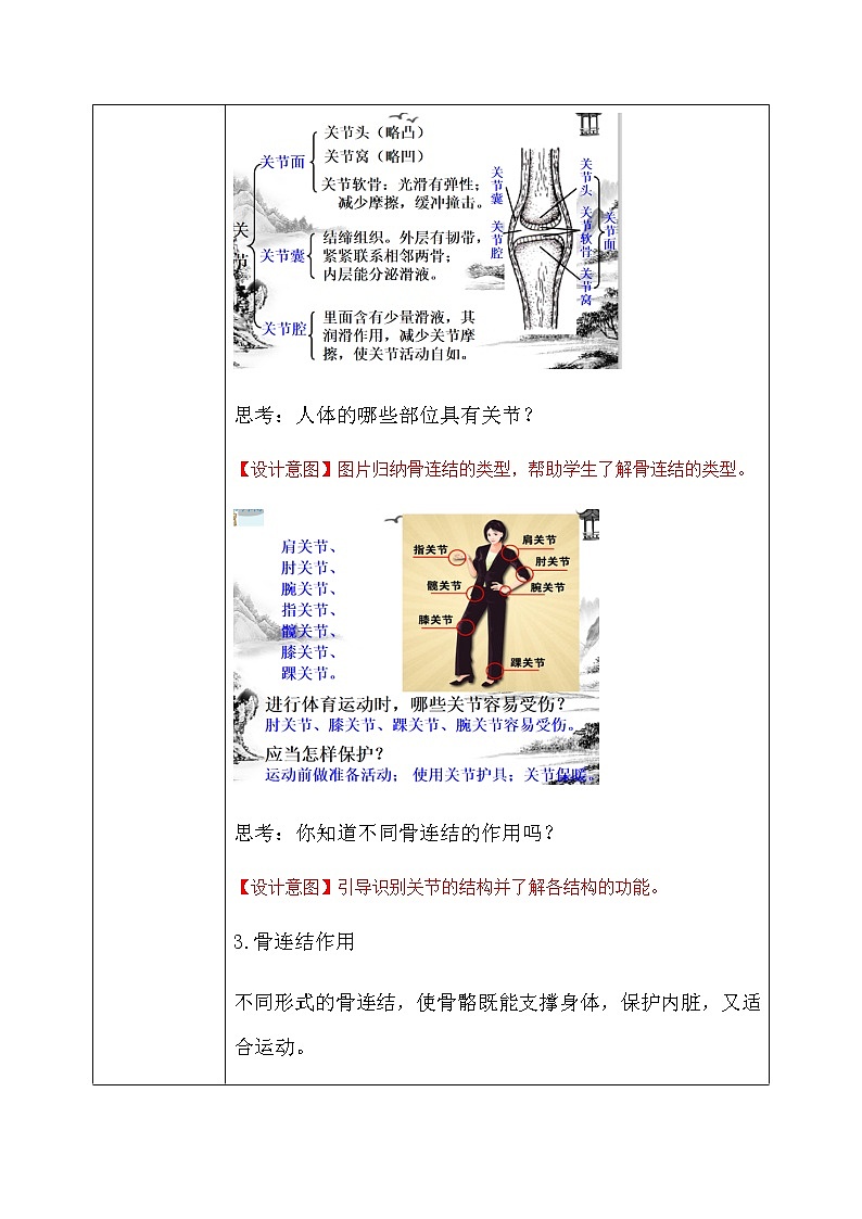 《3.5 人的运动系统和保健（第2课时）》课件+教案+练习03
