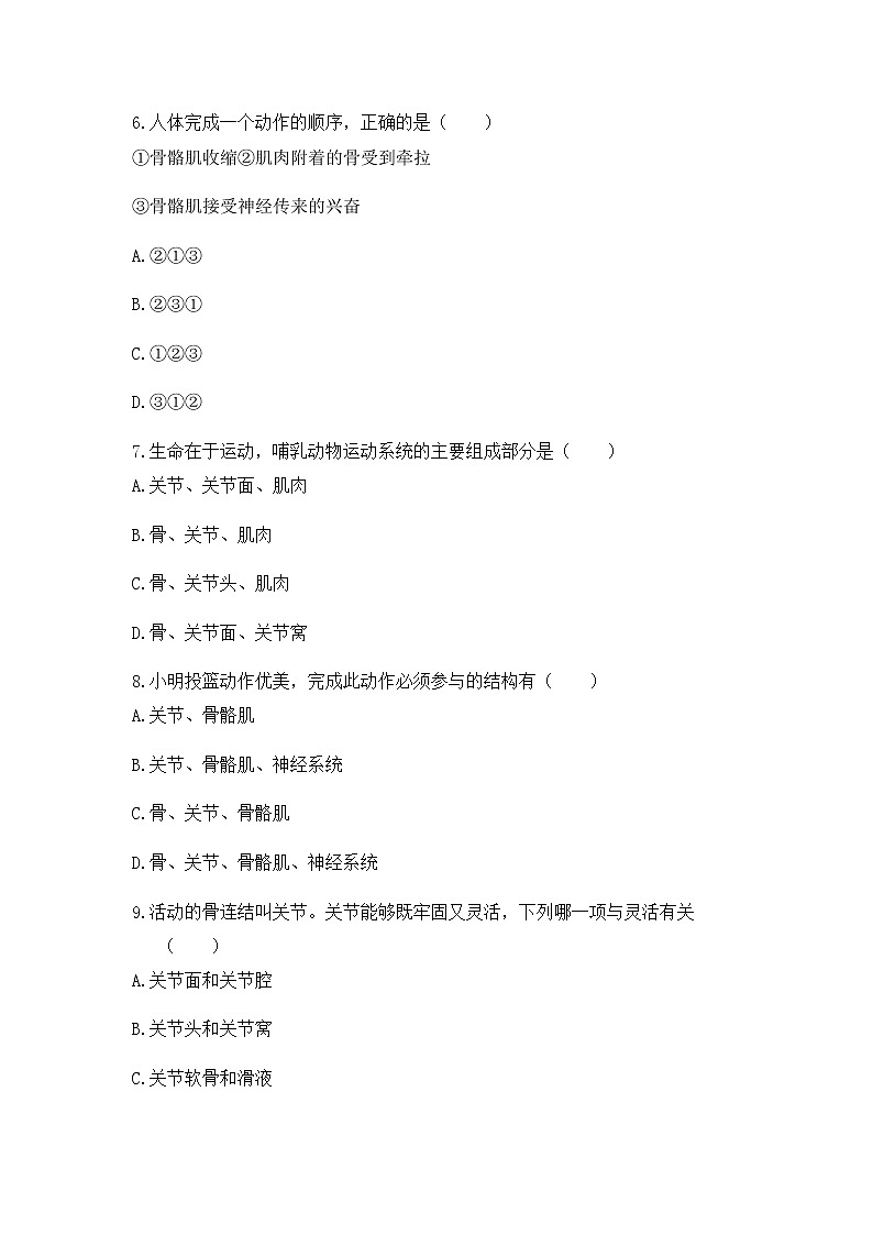 《3.5 人的运动系统和保健（第2课时）》课件+教案+练习02