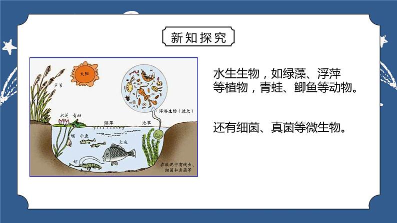 《2.3 生物群落 》课件+教案+练习06