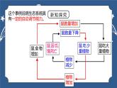 《2.5 生态系统的稳定性 》课件+教案+练习