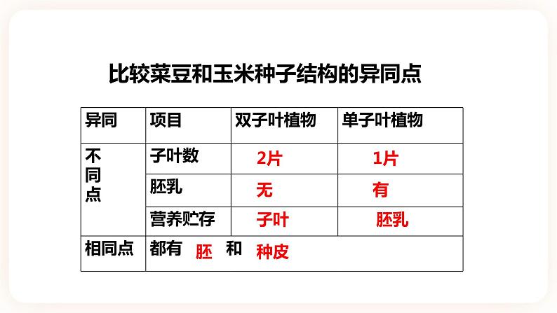 1.4植物的一生（第1课时）(课件+练习+精美音视频）06