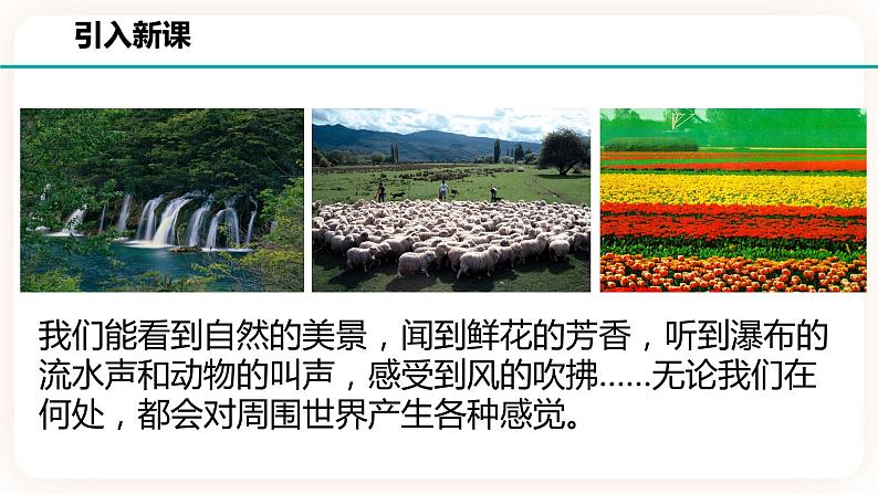 2.1感官世界第2页